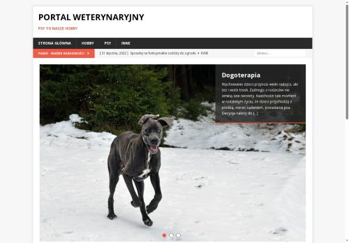 vetserwis.pl