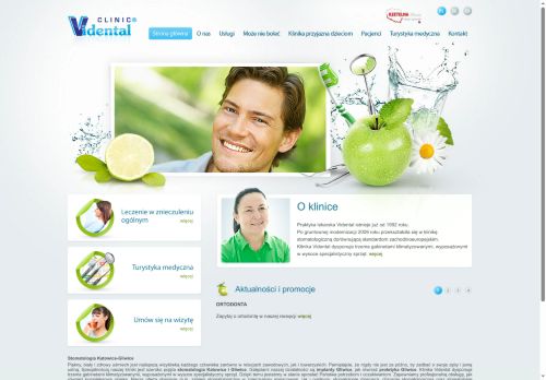 vidental.com.pl