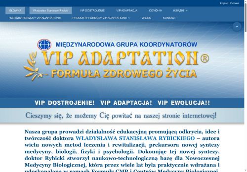 vipdostrojenie.pl