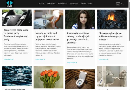 vivid.com.pl