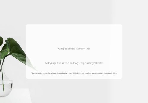 webixly.com