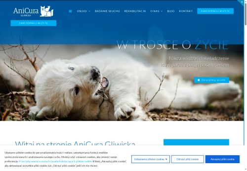 wetgliwice.pl