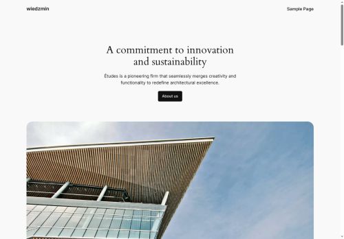 wiedzmin.org