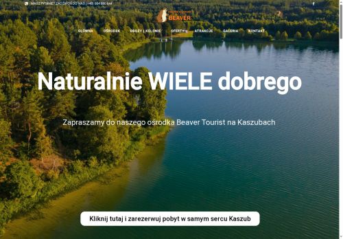 wiele.com.pl