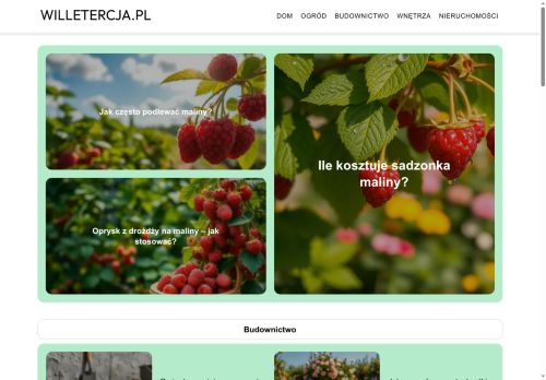 willetercja.pl