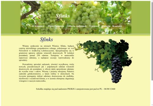winnicasfinks.pl