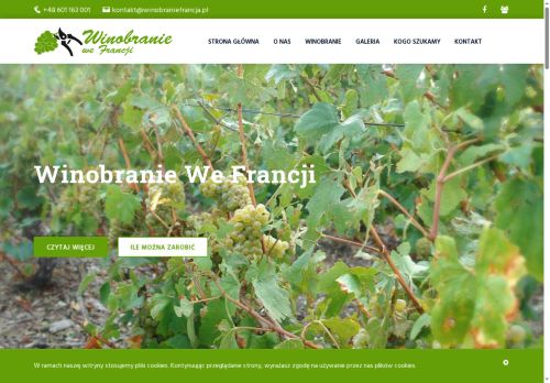 winobraniefrancja.pl
