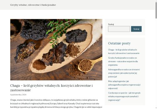 witalnegrzyby.pl