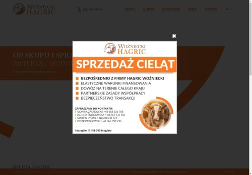 wozniecki.com.pl