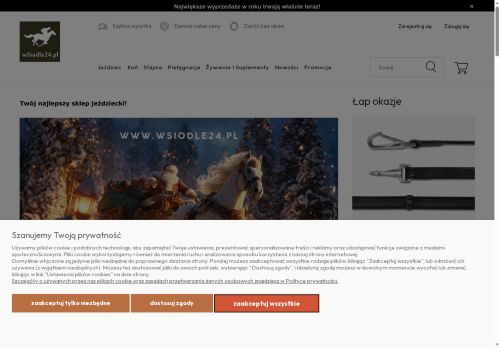 wsiodle24.pl