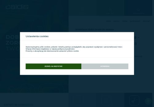wsystem.pl