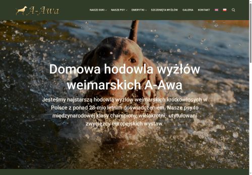 wyzelweimarski.pl