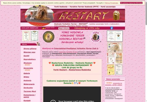 york-restart.com
