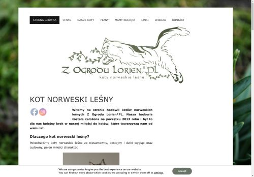 z-ogrodu-lorien.pl