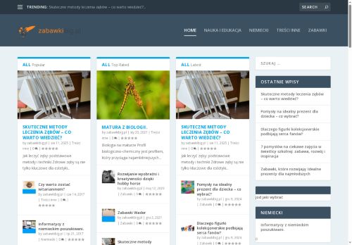 zabawkibig.pl