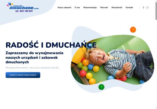 zabawkidmuchane.com