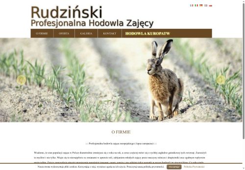 zajace.com.pl