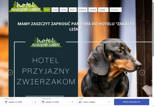 zakateklesny.pl