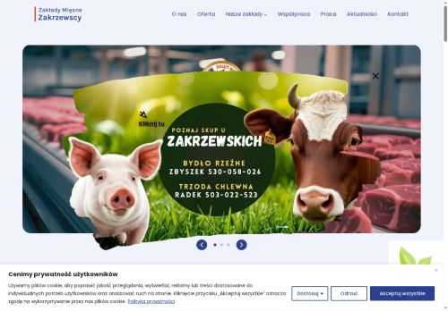 zakrzewscy.pl
