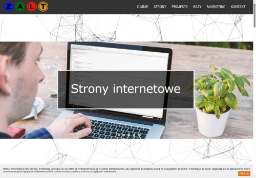 zalt.pl