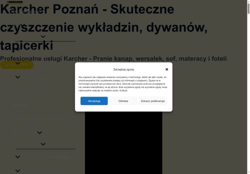 zawszeczysto.pl