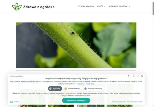 zdrowezogrodka.pl