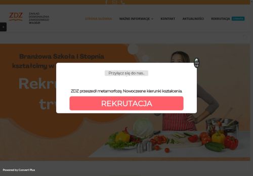 zdz.opoczno.pl
