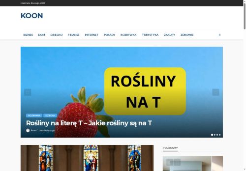 zgubionawiedza.koon.pl