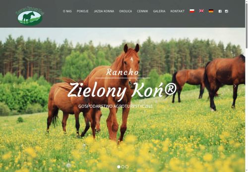 zielonykon.pl