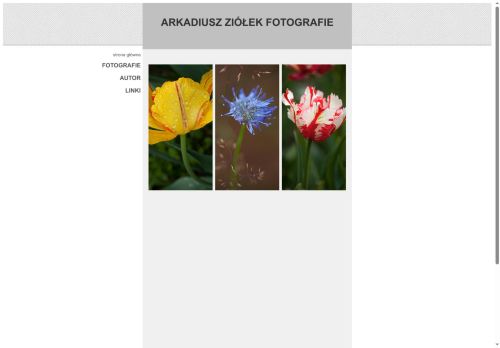 ziolek.pl