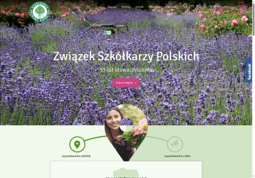 zszp.pl