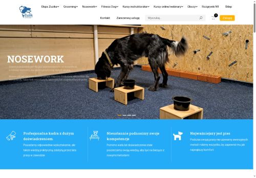 zuzik.pl