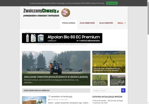 zwalczamychwasty.pl